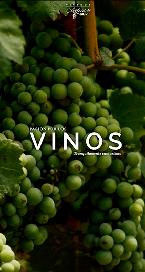 Desarrollo de tienda en línea para venta de licores y vinos